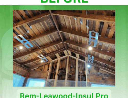 Leawood KS Remodel
